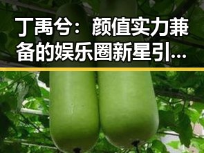 丁禹兮：颜值实力兼备的娱乐圈新星引发热议